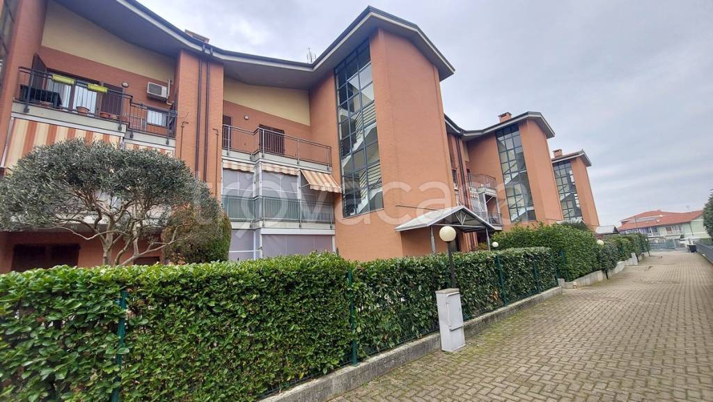 immagine annuncio 1 di 15