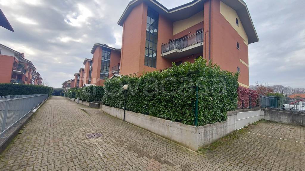 immagine annuncio 2 di 15