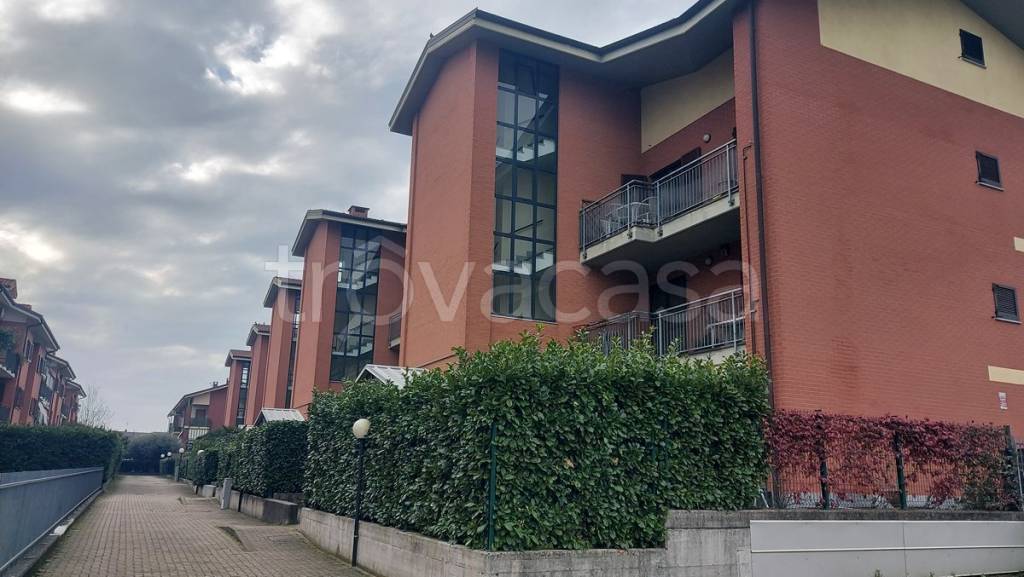 immagine annuncio 3 di 15