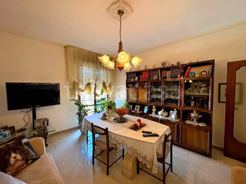 immagine annuncio 4 di 14