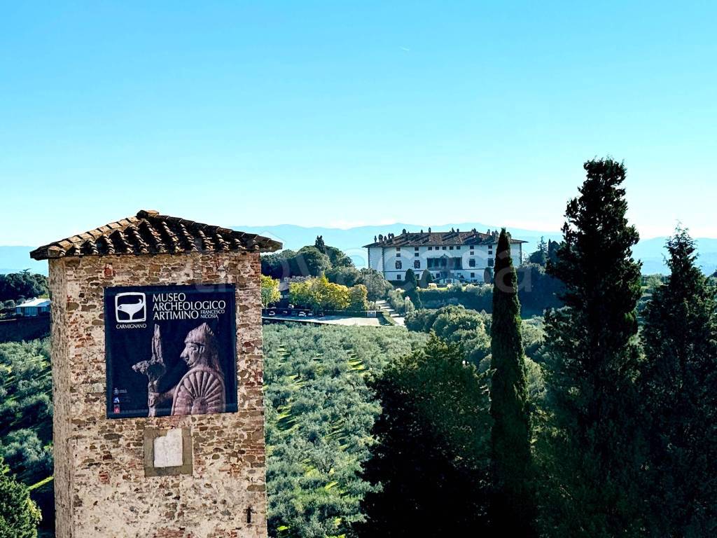 immagine annuncio 4 di 8