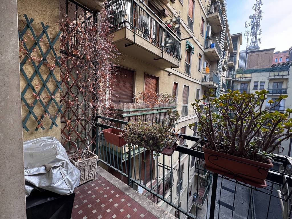 immagine annuncio 9 di 15