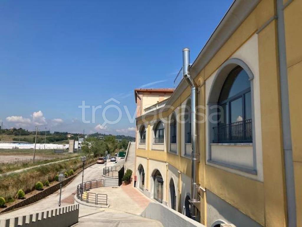 immagine annuncio 7 di 10