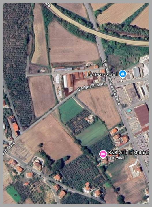 immagine annuncio 9 di 15