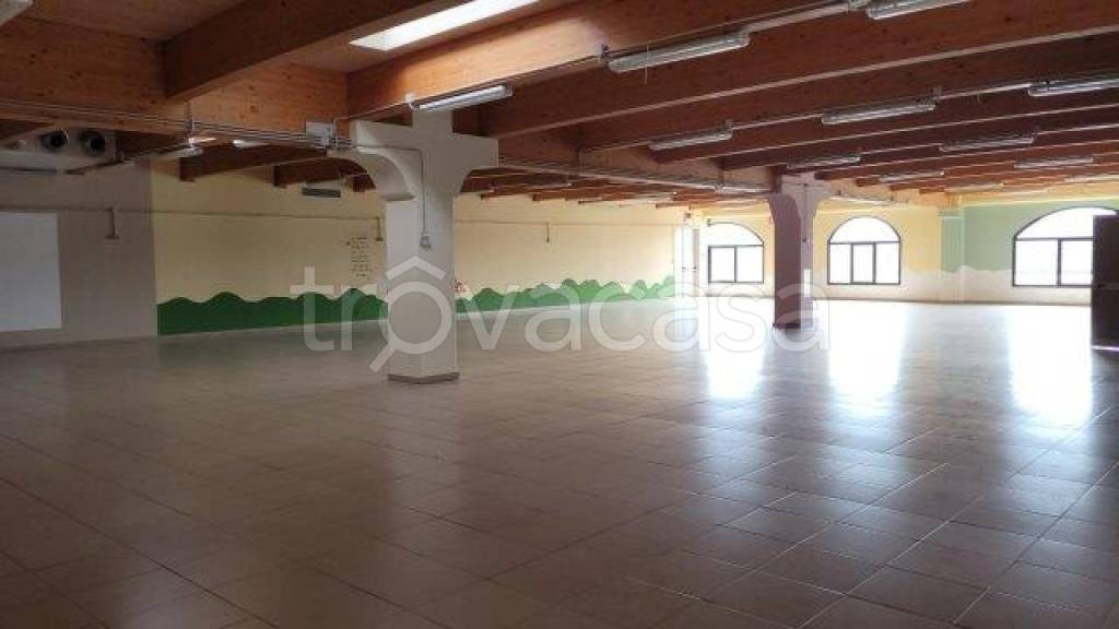 immagine annuncio 7 di 11