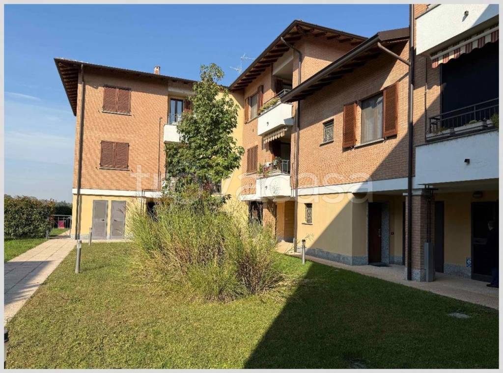 immagine annuncio 11 di 15