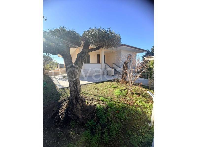 immagine annuncio 4 di 9