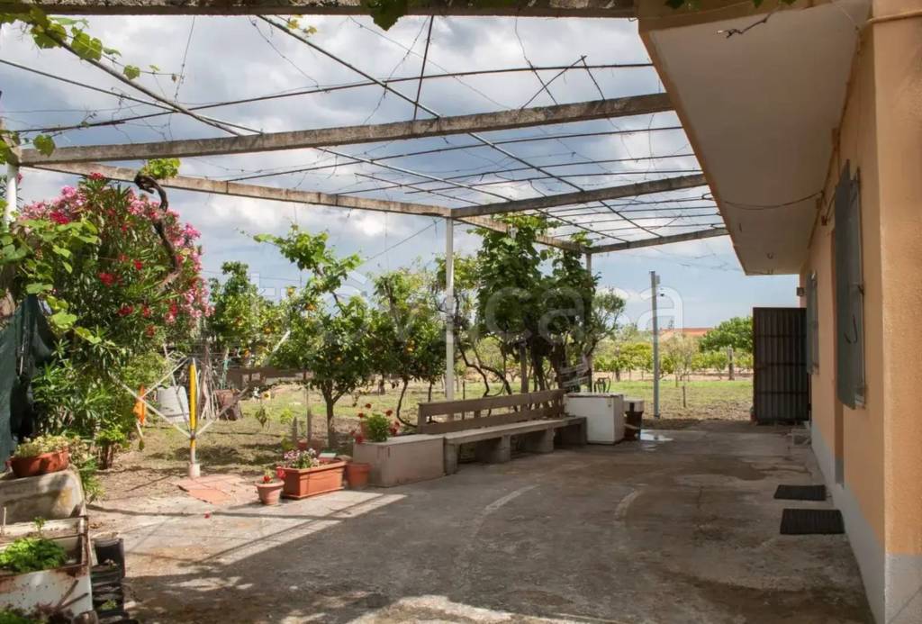 immagine annuncio 9 di 11