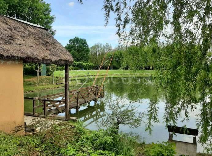 immagine annuncio 3 di 15