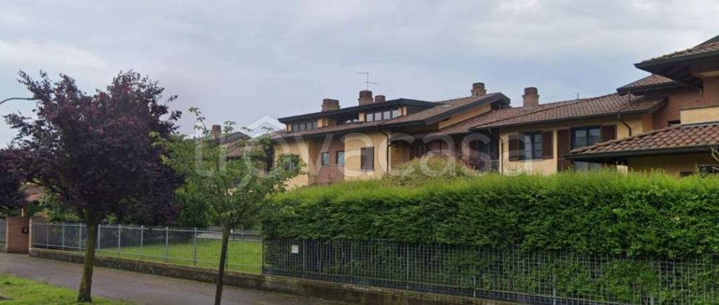 immagine annuncio 12 di 15