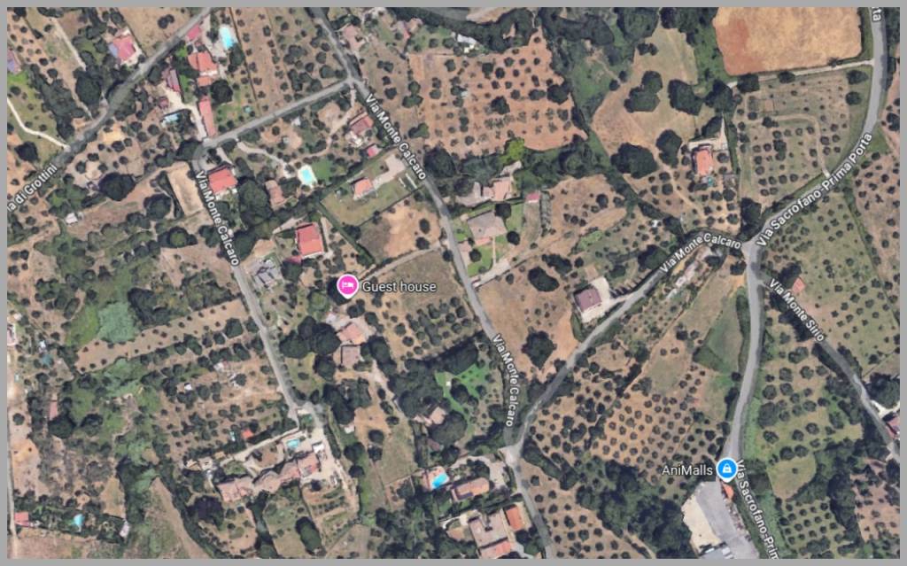 immagine annuncio 9 di 15