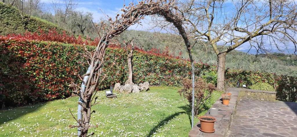 immagine annuncio 6 di 11