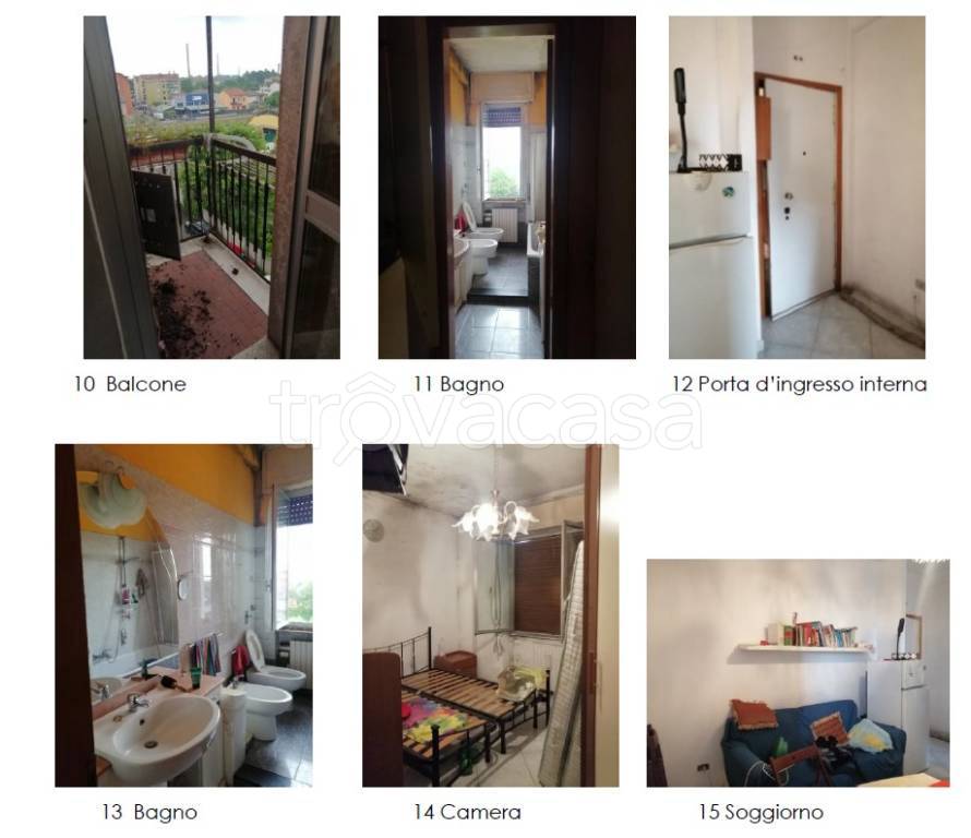 immagine annuncio 7 di 15