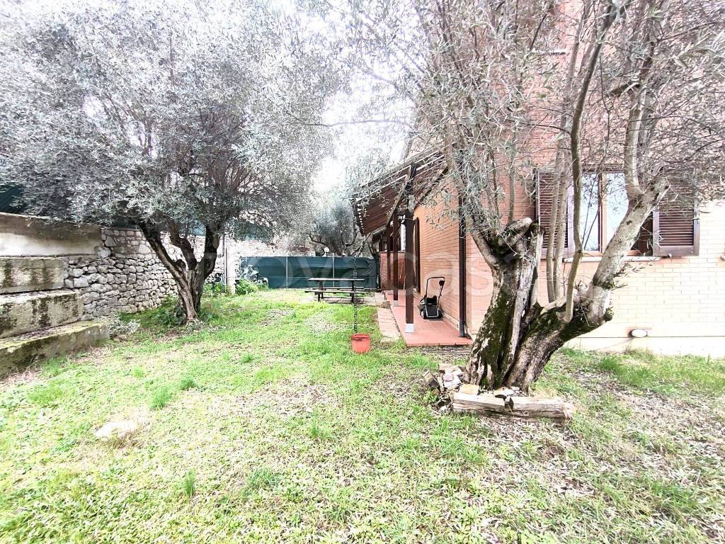 immagine annuncio 2 di 8