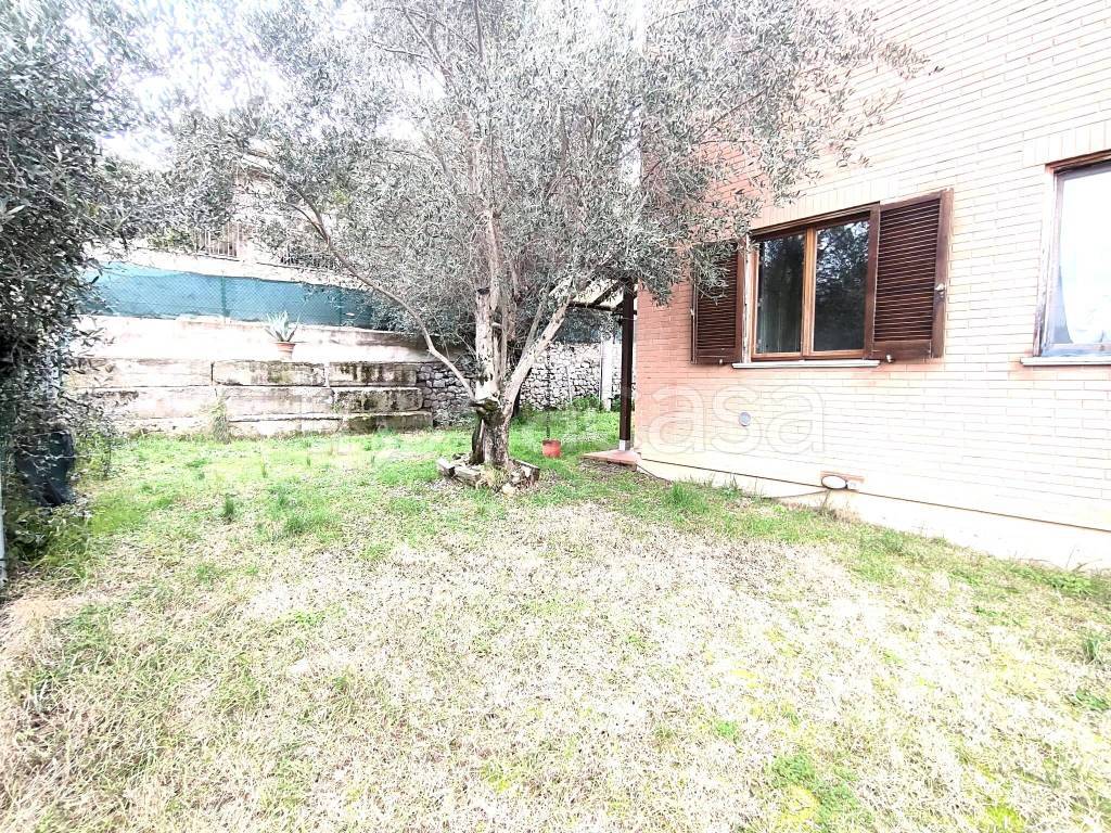 immagine annuncio 3 di 8