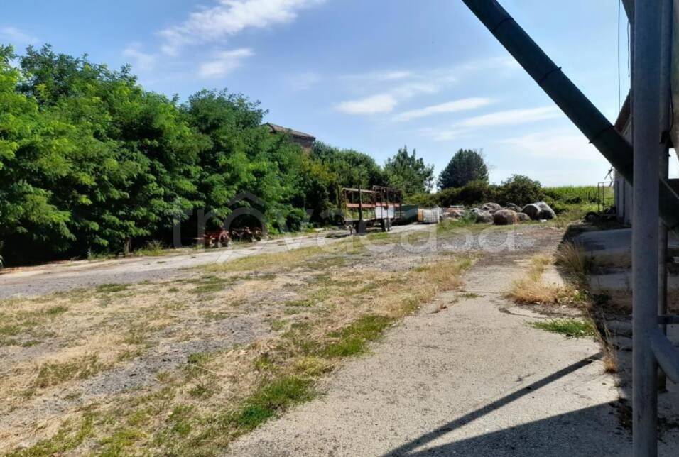 immagine annuncio 1 di 8