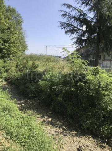 immagine annuncio 3 di 9