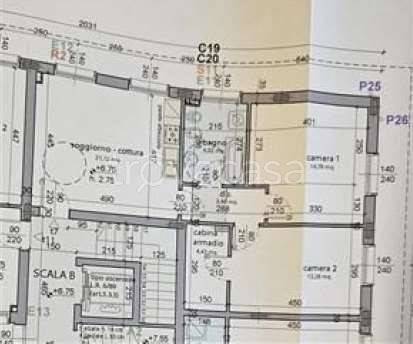 immagine annuncio 4 di 13