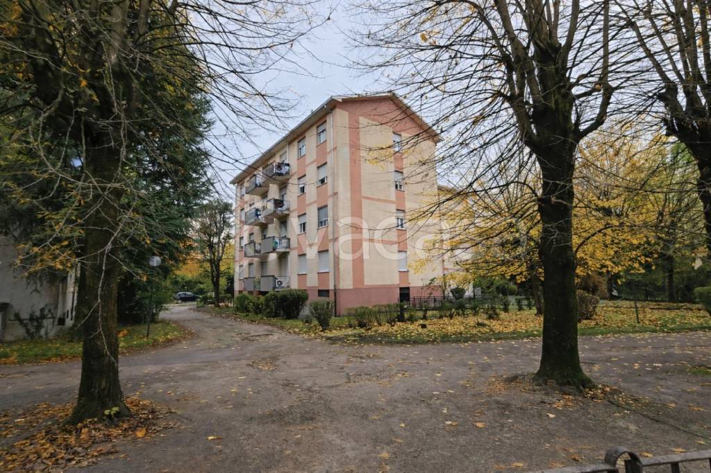 immagine annuncio 2 di 12