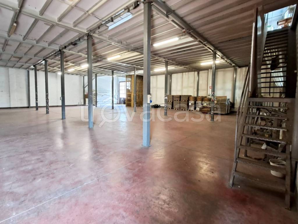 immagine annuncio 11 di 15