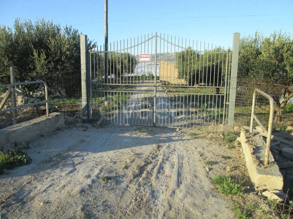 immagine annuncio 1 di 6