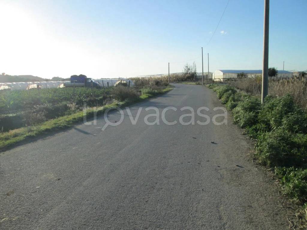 immagine annuncio 2 di 6