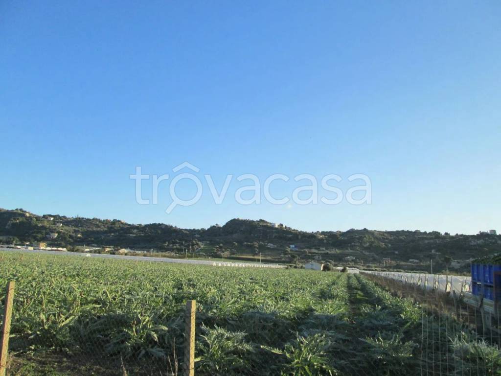 immagine annuncio 3 di 6