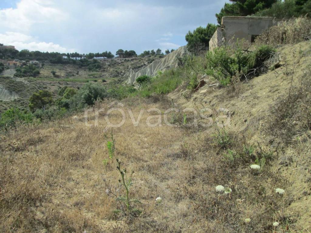 immagine annuncio 4 di 6