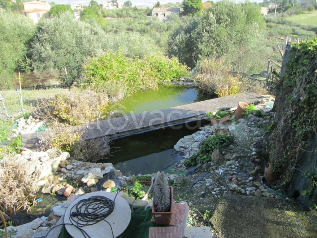 immagine annuncio 2 di 7