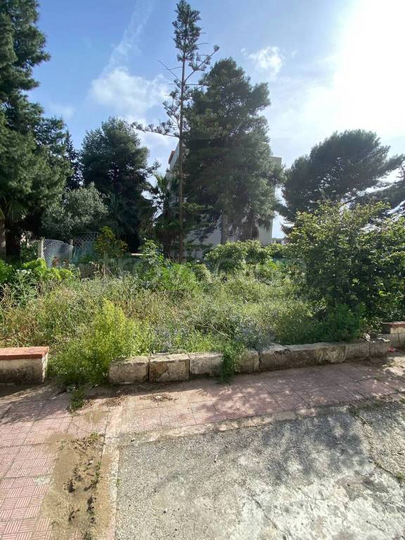 immagine annuncio 10 di 14