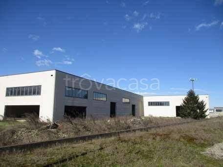 immagine annuncio 1 di 8