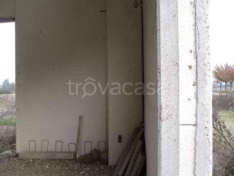 immagine annuncio 6 di 8