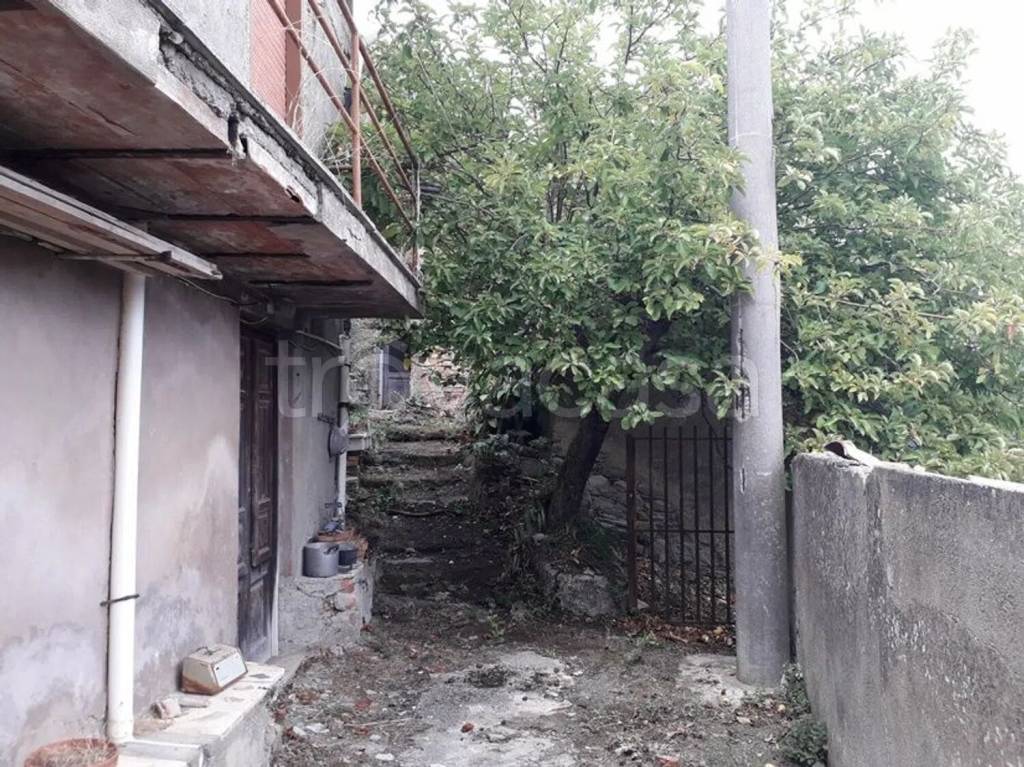 immagine annuncio 5 di 11