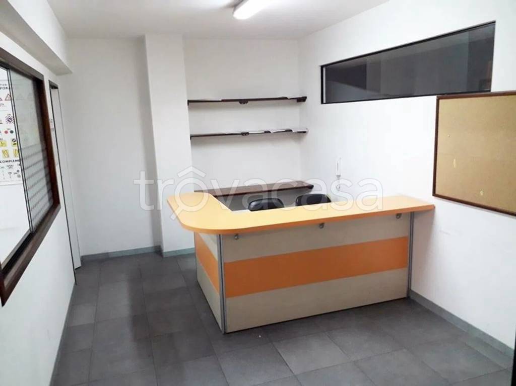 immagine annuncio 5 di 12