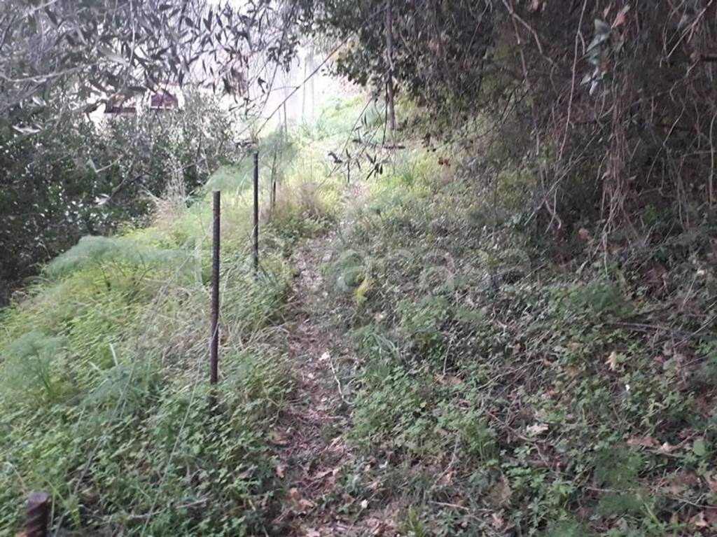 immagine annuncio 4 di 9