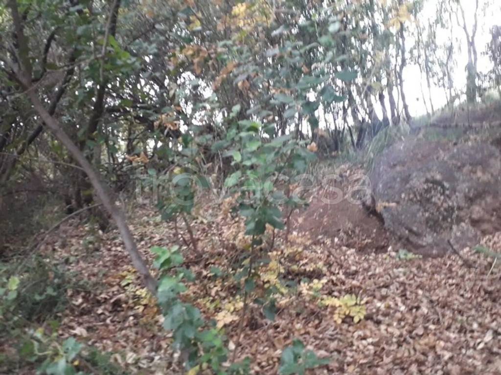 immagine annuncio 5 di 9