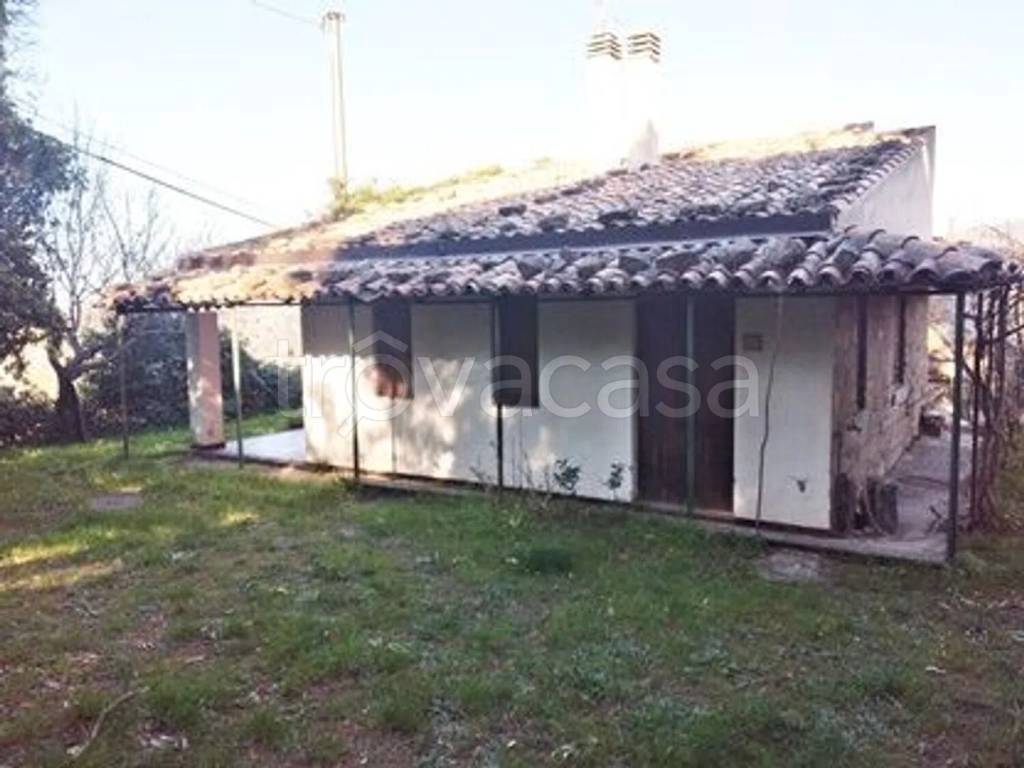 immagine annuncio 4 di 8