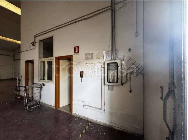 immagine annuncio 10 di 13