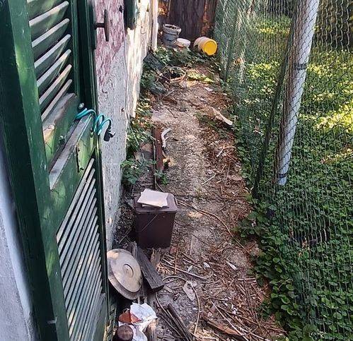 immagine annuncio 5 di 6