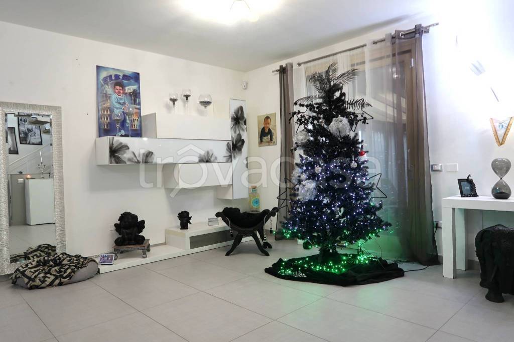 immagine annuncio 9 di 15