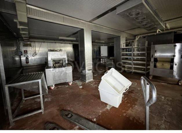 immagine annuncio 6 di 14