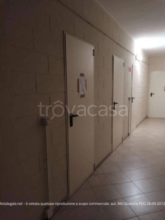 immagine annuncio 9 di 14