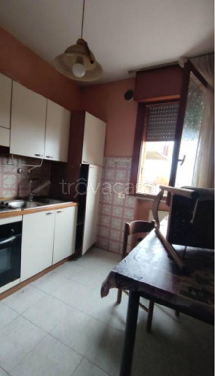 immagine annuncio 2 di 14