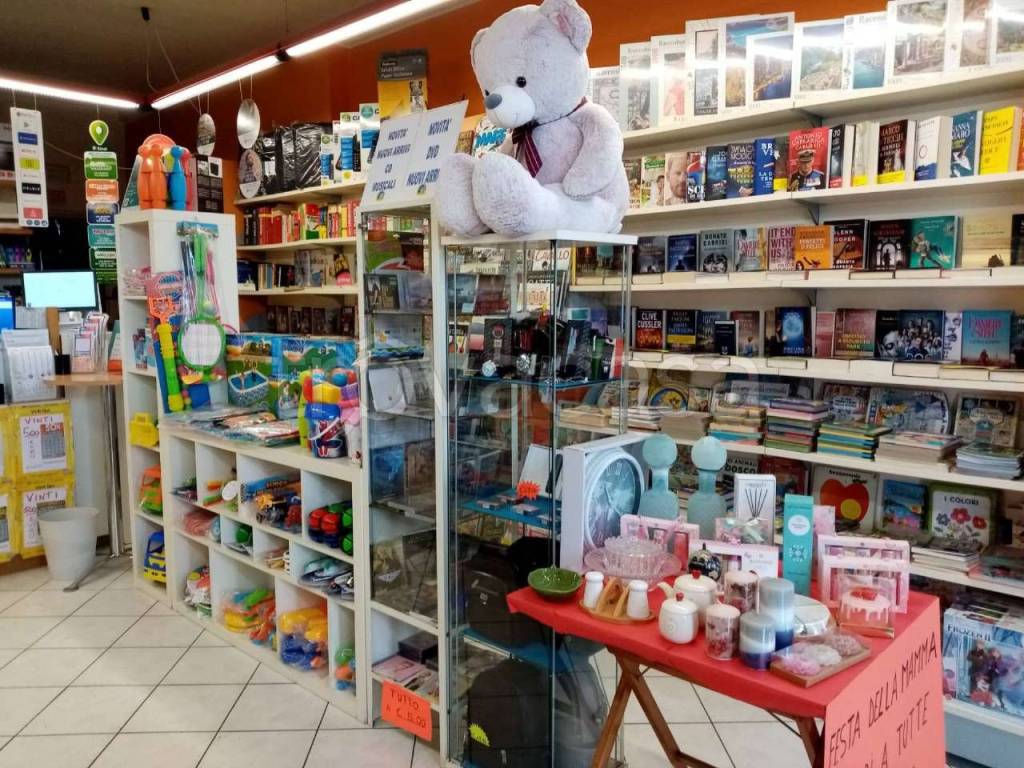 immagine annuncio 4 di 10