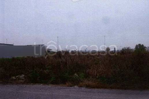 immagine annuncio 1 di 7