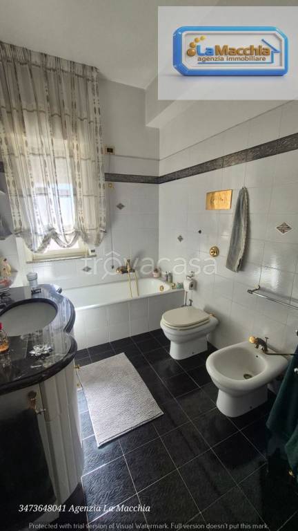 immagine annuncio 6 di 14