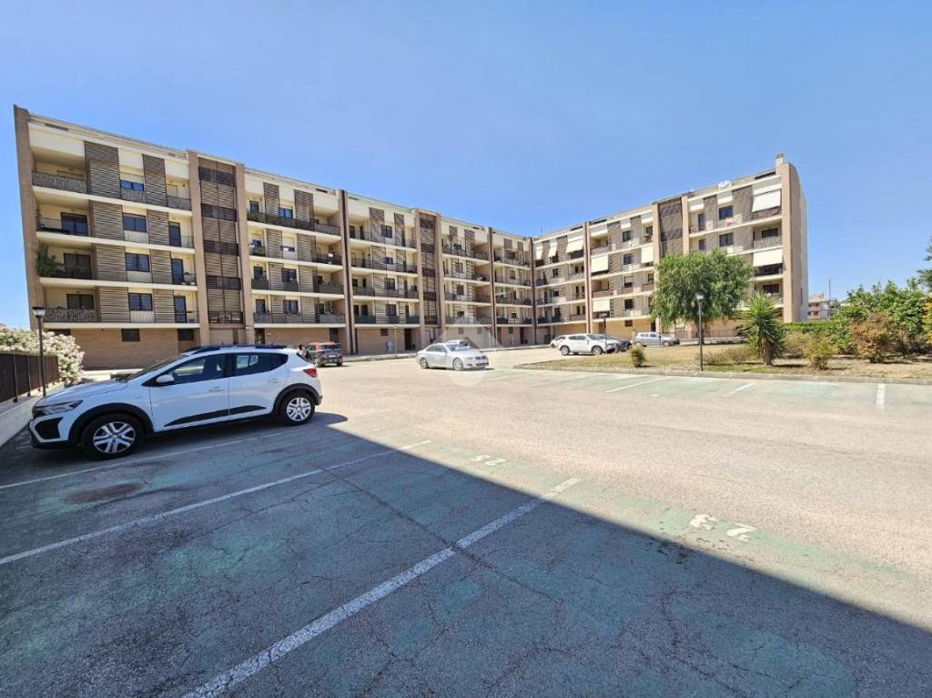 immagine annuncio 8 di 11