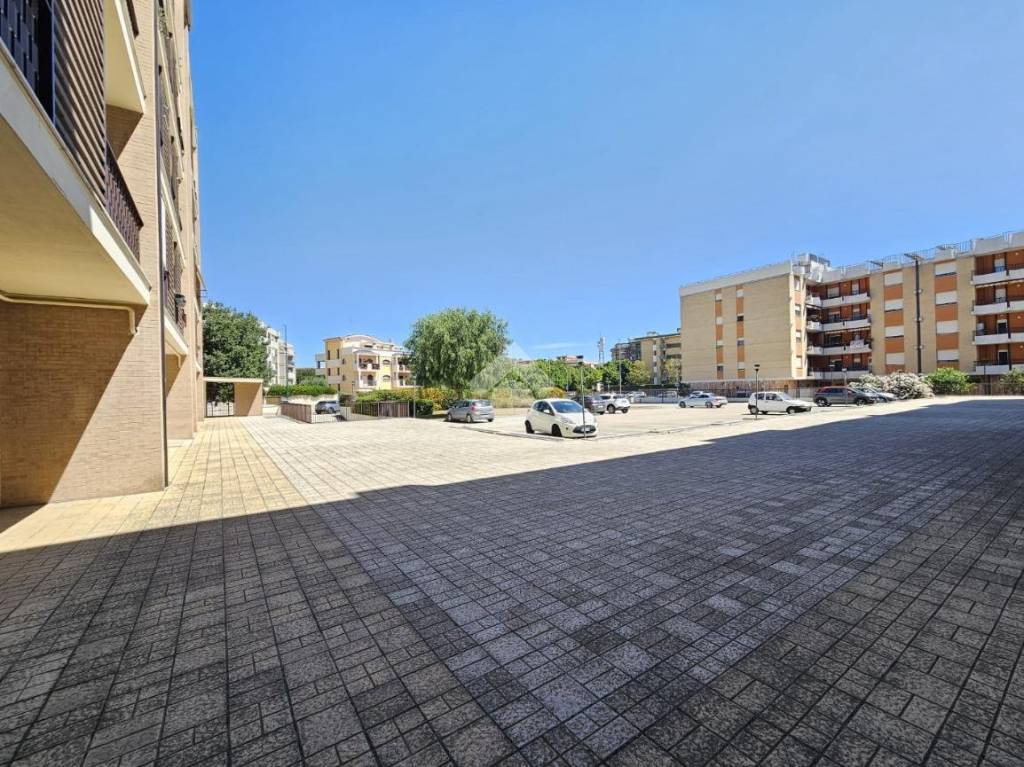 immagine annuncio 9 di 11