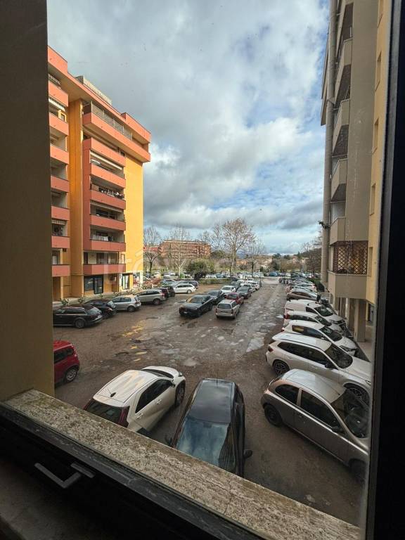 immagine annuncio 9 di 11