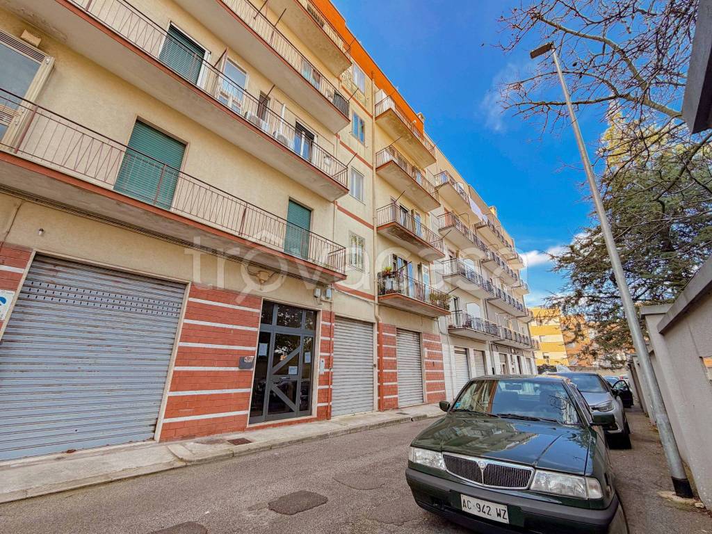 immagine annuncio 12 di 13